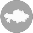 Логотип поддержки